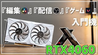 動画編集にも、ゲームにも、配信の入門に持って来い！エントリーGPU PNY RTX 4060 OC XLR8 VERTO【レビュー動画】 [upl. by Ecnerol750]