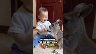 Rescued Orphan Kangaroo Finds Love and a New Home 🦘❤️ AnimalRescue KindnessMatters shorts [upl. by Gallager]