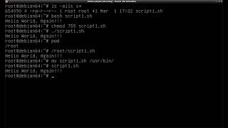 How to run a script in Linux Multiple ways [upl. by Brosy901]