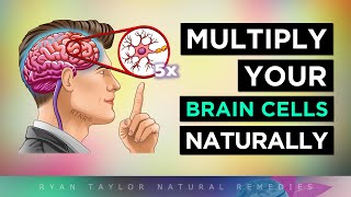 12 Ways To MULTIPLY Your BRAIN CELLS [upl. by Rhines]