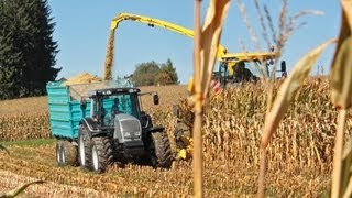 Maisernte mit VALTRA Traktoren  AMPLandtechnik [upl. by Salvatore195]