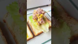 Tuna and Cheese Sandwich easyrecipes food breaksfast [upl. by Melissa297]