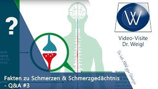 Chronischer Schmerz das Schmerzgedächtnis psychosomatische Schmerzen amp Schmerztherapie ☎QampA 3👥 [upl. by Cati]