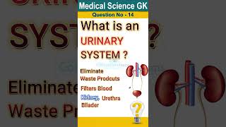 What is urinary system  Urinary system anatomy and physiology Functions of urinary system short [upl. by Moran402]