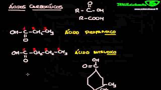 ACIDOS CARBOXILICOS FORMULACIÓN QUÍMICA ORGÁNICA 1214 Mistercinco [upl. by Lord]