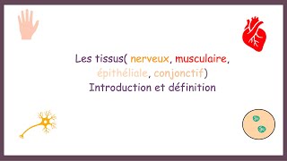 Les tissusNerveux Musculaire Epithéliale Conjonctif Introduction Définition [upl. by Inajna]