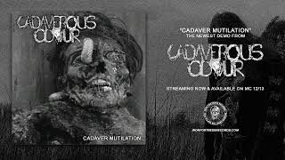 CADAVEROUS ODOUR  CADAVER MUTILATION EP  Iron Fortress Records [upl. by Occir]