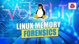 Linux Memory Forensics  Memory Capture and Analysis [upl. by Enamart]