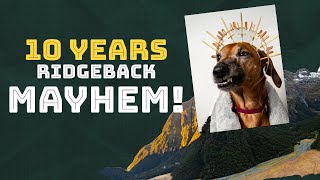 TEN Years Living With Rhodesian Ridgeback Mayhem [upl. by Yenahs]