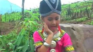 hmong song Malina laujampHuab sib Lauj [upl. by Yanehc493]