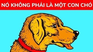 11 ảo ảnh thị giác đánh lừa đôi mắt [upl. by Aletha]