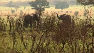 Uganda Sustainable Tourism [upl. by Akehsal]