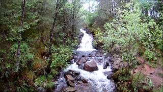 Ennerdale Trail  Forest Waterfalls amp Rivers [upl. by Niatsirk]