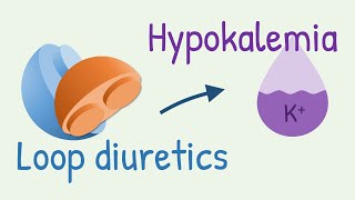 How diuretics cause hypokalemia [upl. by Keviv]