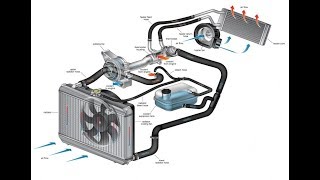 Se Debe O No Quitar el Termostato De Mi carro [upl. by Atnek]