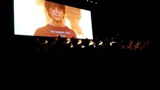 Harry Potter in Concert  Sportpaleis Antwerp [upl. by Bourgeois29]