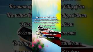 Wellerman Lyrics Sea Shanty  Nathan Evans lyrics song wellerman [upl. by Cadmar]