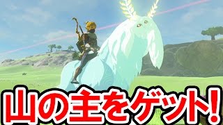 【ゼルダの伝説 BotW】山のヌシ「サトリ」をゲット！光る馬を手なづけて走り回ってみた！精霊ルミーの親玉は馬宿に登録できるのか？ゼルダの伝説 ブレス オブ ザ ワイルドの攻略動画 [upl. by Ritter]