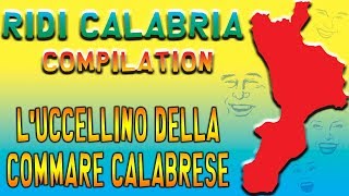 Il Calabrese  Luccellino della commare calabrese [upl. by Weidar]