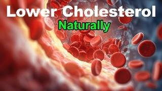 Lower Cholesterol Reduce the Bad LDL and Boost the Good HDL [upl. by Thais]