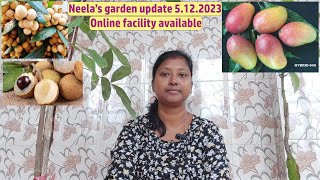 Neelas garden update 5122023 [upl. by Marquita]