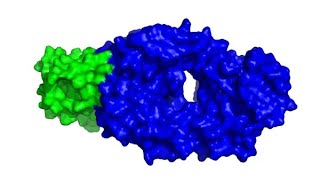 Nanobody Optimization via Machine Learning [upl. by Nyrrek]