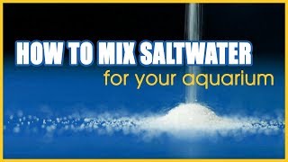 How to Mix Saltwater for Your Aquarium A Step by Step Tutorial [upl. by Domela793]