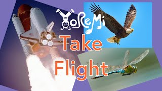 Take Flight Adventure  Kids Yoga Music and Mindfulness with Yo Re Mi [upl. by Lyrahc]