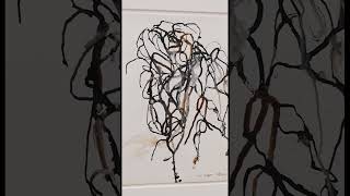 This video tours the exhibition quotLet the painting make youquot by Brice Marden [upl. by Corso271]