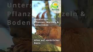 Artenvielfalt fördern 🦋  Mutzke Umwelttechnologie ® Artenvielfalt Natur Nature [upl. by Aicilaanna]