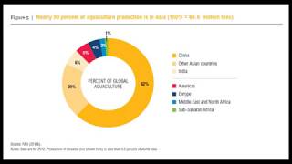 Overview of Recirculating Aquaculture Systems RAS [upl. by Yesrod630]