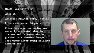 WATCH People Jailed in Norfolk in December [upl. by Norted]