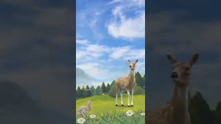 FOREST MEDITATION shorts junglesafari junglesounds Jungalnature viralvideo [upl. by Suoivart]