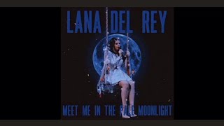 Meet Me In The Pale Moonlight origanal Lana Del Ray [upl. by Arraek]