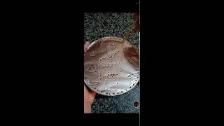 shamzavino Vlogs is live ODD ASMR  VERY SATISFYING FANTASTIC FOIL ASMR SOUND asmr trending foil [upl. by Hawkie519]