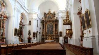 Joseph Haydn  Nicolai Messe [upl. by Gladwin493]