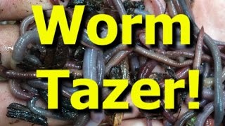 Worm Tazer Catching tons of earthworms for bait with electricity [upl. by Miharbi995]