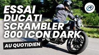 Essai Ducati Scrambler 800 Icon Dark 2020 A2 [upl. by Nnave]