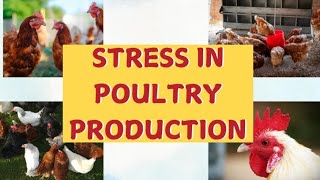 STRESS IN POULTRY PRODUCTION [upl. by Pardner689]