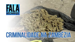 SERNIC em Quelimane detém um jovem indiciado no crime de tráfico de drogas PortalFM24 [upl. by Anirehc]