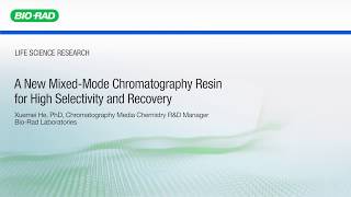 AEX MixedMode Chromatography Resin for High Selectivity and Recovery [upl. by Nodnelg]