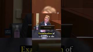 Cross Examination Is One Of The Most Important Part Of Trial [upl. by Drofiar]