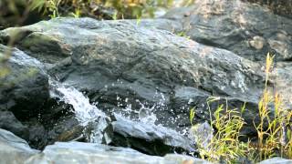 Gales Theme  Main Title The River Wild  Best Viwed In 1080p HD [upl. by Laehcar]