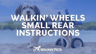 Small Walkin Wheels Dog Wheelchair  Instructional Video [upl. by Eirameinna]