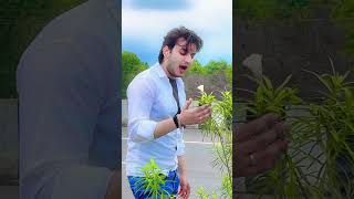 Khush Rahe Tu Sada 😭 mastistr mohammedrafi anwarhabib01 oldisgold youtube shorts viral [upl. by Barabas]