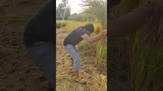 Kheta mein Kisan comedy video🙏 funny [upl. by Eeltrebor]