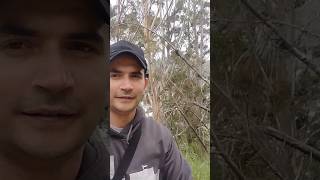 mountains travel views viralvideo newzeland christchurch [upl. by Constancia]