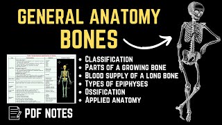 General Anatomy  Bones  📝For PDF Notes Check Description Box👇 [upl. by Lamar799]