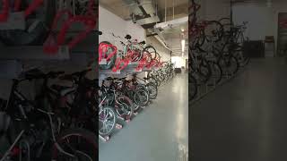 Queens University accommodation bicycle areaQubElms Bt1belfastuk [upl. by Gibb]