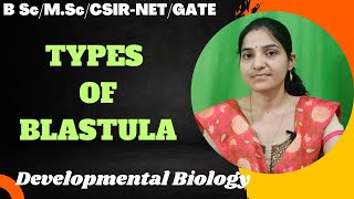 Types Of Blastula bc 3rd yearMSc Blastulation and Its Typesdevelopmentalbiology gnb [upl. by Rachele658]